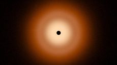 A perfectly smooth disk of dust surrounds a star in an orange-color infrared image